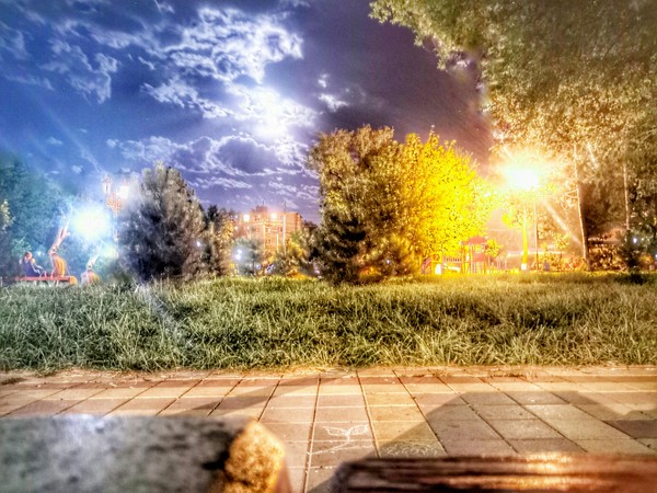 night photography - The park, The photo, My, moon