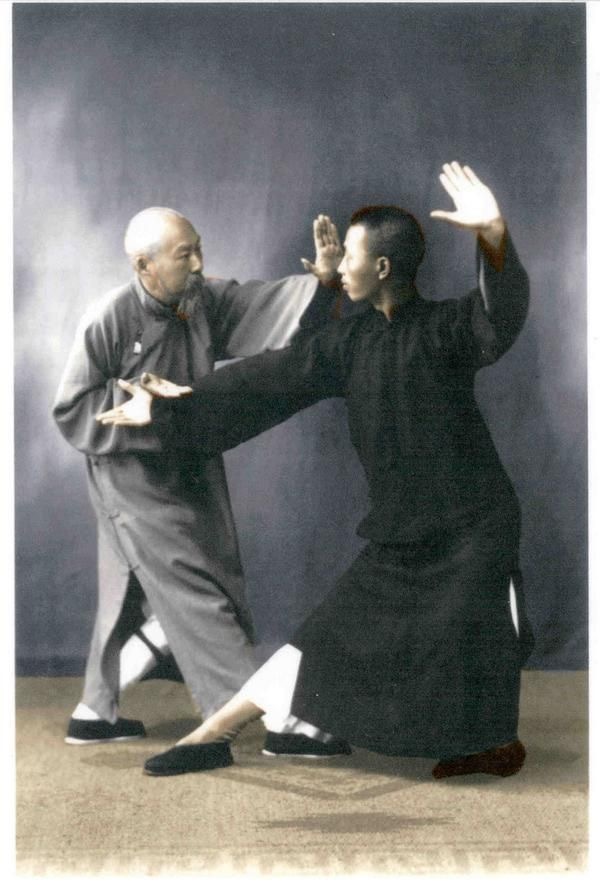 Whip kick, way of the bream - Martial arts, Bream