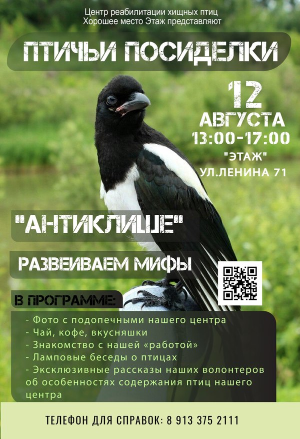 Tea, buns, birds. - Birds, My, CRCP Novosibirsk, CRCP, Predator birds