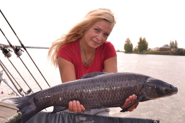 Fishing girls part 2 - My, Girls, Carp, Fishing, A fish, Longpost