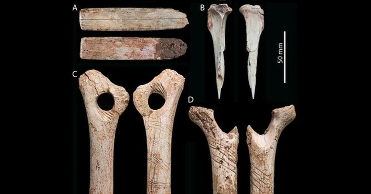 История кости. Кальцинированные кости в археологии. Обнаружены человеческие кости. Истуриц кость с гравировкой 16 тыс лет назад.