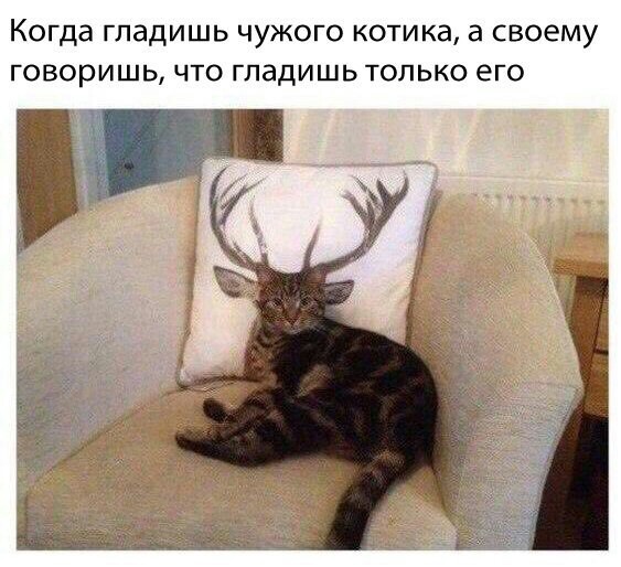 Treason - cat, Deer, Not mine, Deer