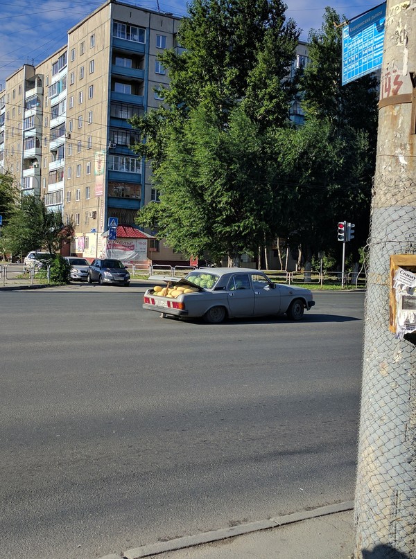 Do you need watermelon!? - My, Watermelon, Trade, Car, Chelyabinsk