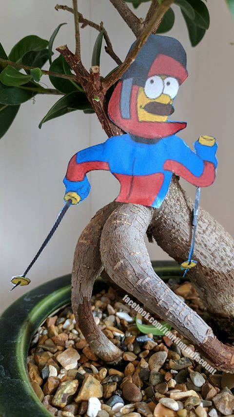 stupid sexy bonsai - Ned Flanders, Bonsai