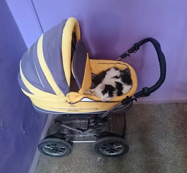    ?