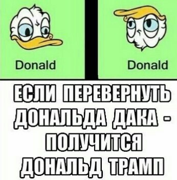 Совпадение? - Дональд Трамп, Дональд Дак