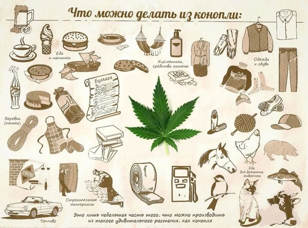 Decriminalization of cannabis in Belarus - My, Republic of Belarus, Hemp, Marijuana, Decriminalization, Legalization