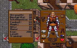 Ultima VII - Ultima VII, Доспехи, Компьютерные игры