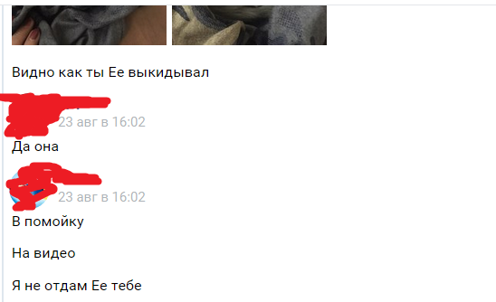 Девочка завернула котенка в пакет и выбросила в урну. P.S. с ним все хорошо. Переписка с этой девочкой - Кот, Домашние животные, Живодерство, Длиннопост