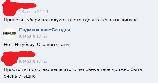 Девочка завернула котенка в пакет и выбросила в урну. P.S. с ним все хорошо. Переписка с этой девочкой - Кот, Домашние животные, Живодерство, Длиннопост