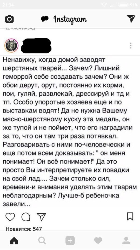 Для любителей небольшого трешачка #8 | Пикабу