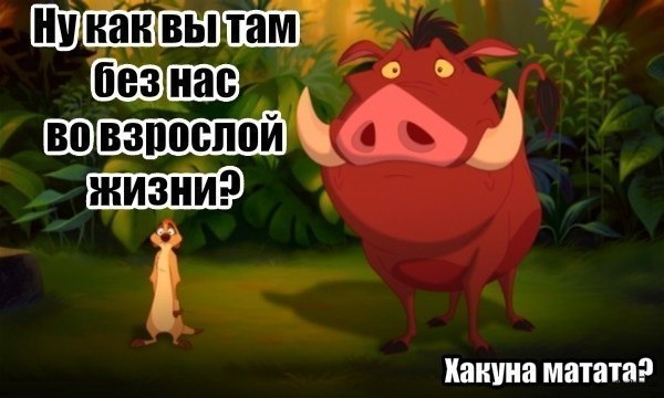 Hakuna in the most matata - Timon and Pumbaa, Humor, Picture with text, Wave of Boyans