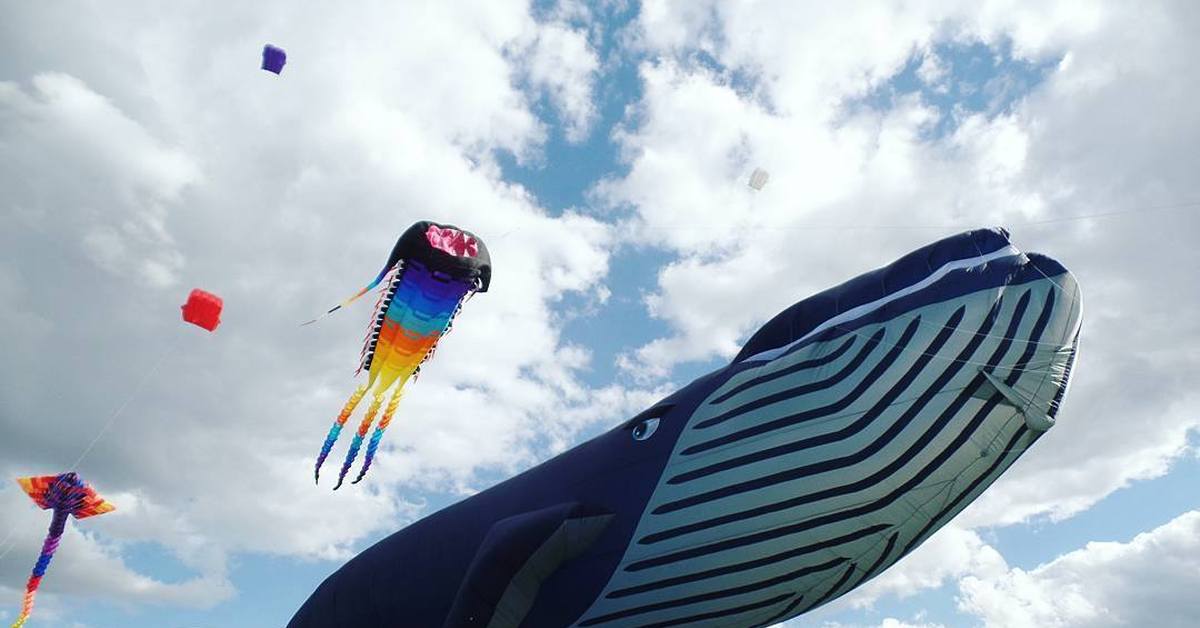 Пестрое небо. Фестиваль воздушных змеев «пёстрое небо». Фестиваль воздушных змеев кит в Царицыно. Воздушный змей кит в Царицыно. Царицыно воздушные змеи.