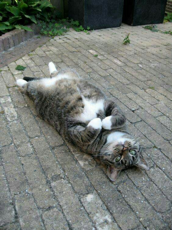 Поели,можно и поспать