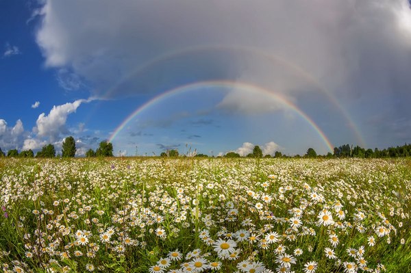 Про радугу и ромашковую Русь.