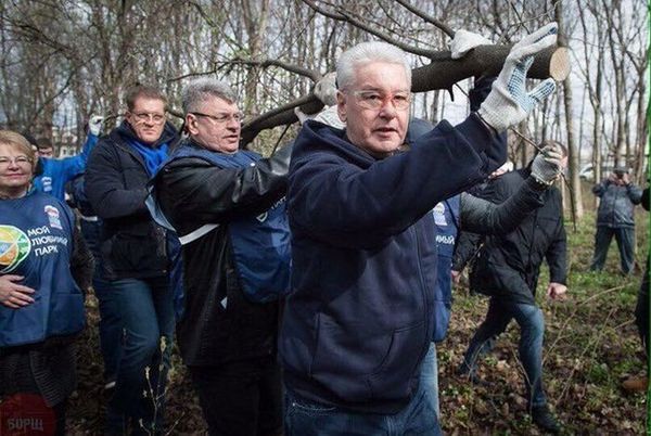 Чиновники выбрали ветку не по размеру Москва, Политика, Сергей Собянин, Чиновники, Субботник, Ветка, Ленин, Фотография