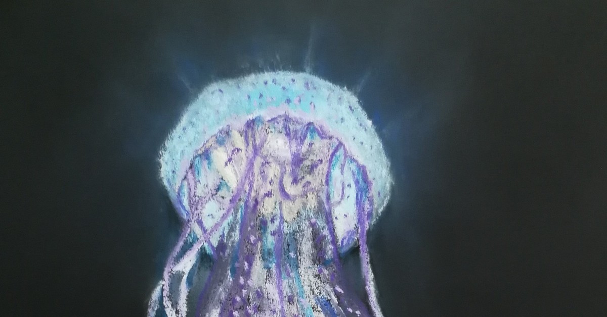 вяленые медузы. сушеная медуза. засушенная медуза. съедобные медузы. вяленые медузы.