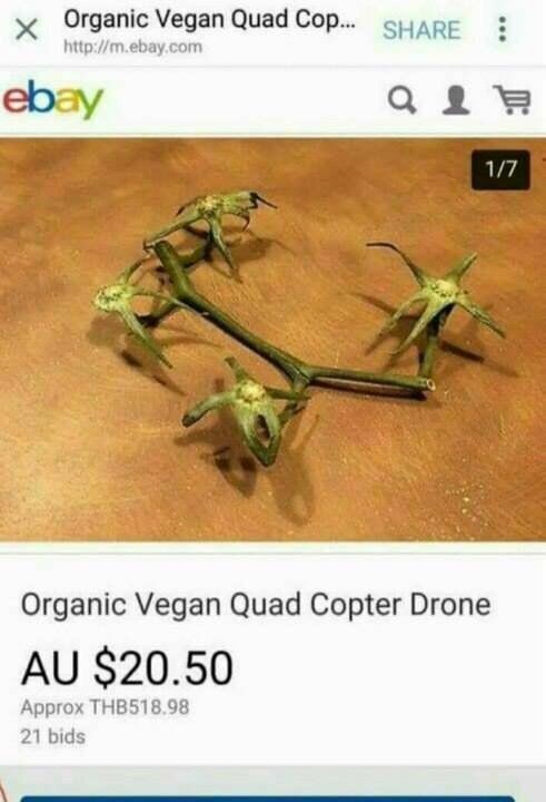 Vegan technology - Vegan, Quadcopter, Technologies, Rave