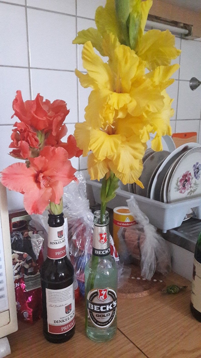 When you love beer, but in the shower is also a romantic - My, Beer, Romance