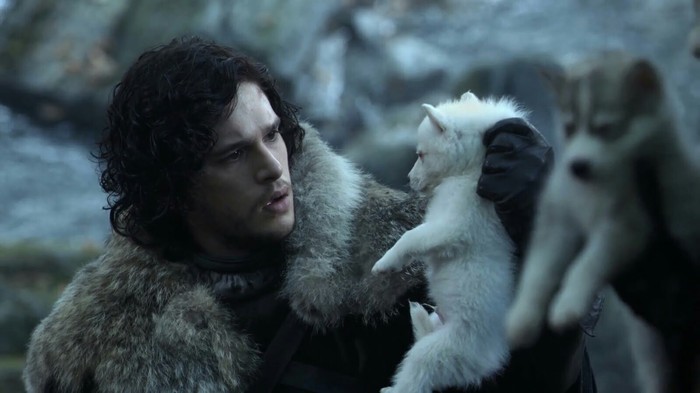 Jon Snow and Ghost - My, Game of Thrones, Spoiler, Hidden meaning