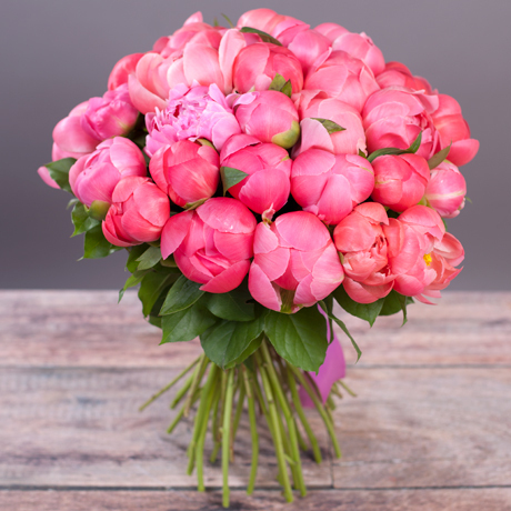 Peonies - Peonies, beauty, Flowers