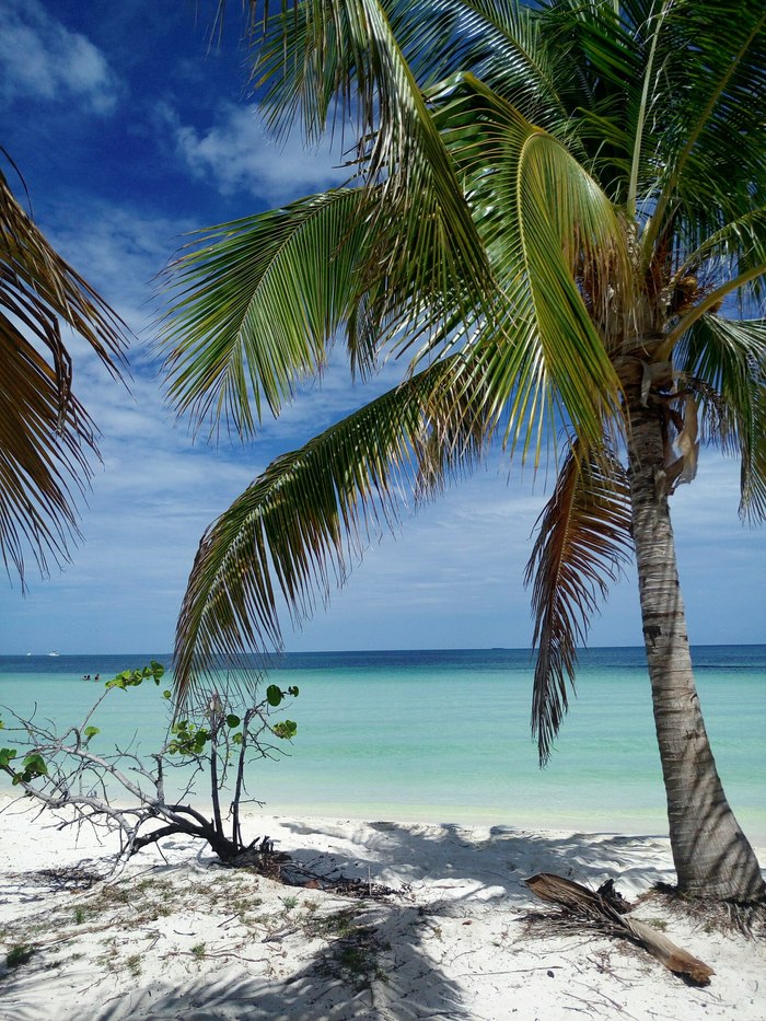 Sunny Cuba - My, Cuba, Havana, Ocean, Longpost