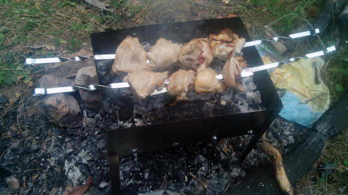 About how the barbecue did not turn over - My, Shashlik, Savvy, First post, Lumberjack Beetle, Жуки, Longpost