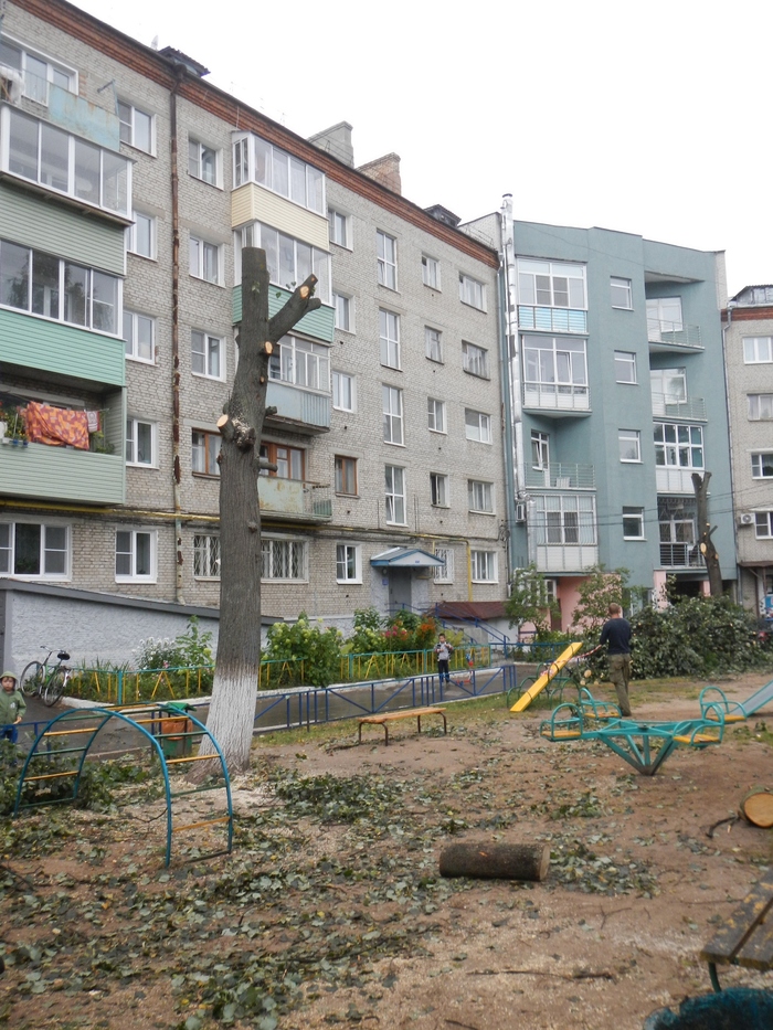 Landscaping: hemp, poles, chopiki. - My, Tree, Lcdo, Management Company, Vandalism, Longpost