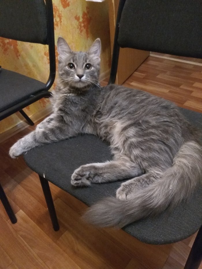 ������� ������. ������