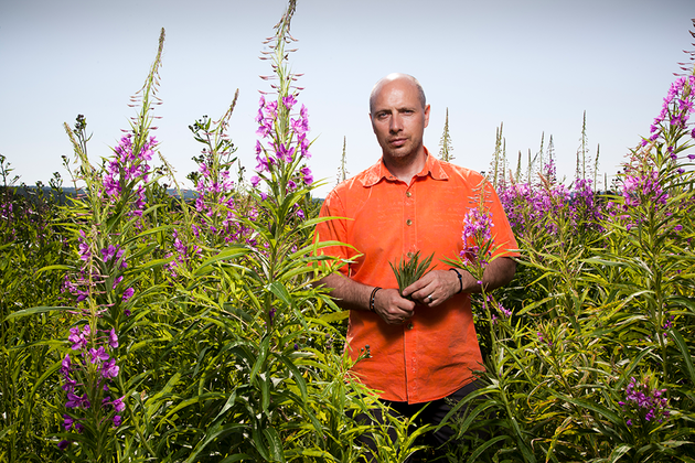 Two accidents, Tibet, Mother of God: How Alexander Masyutin decided to sell Ivan tea - Blooming Sally, Small business, Tenacity, Startup, Longpost