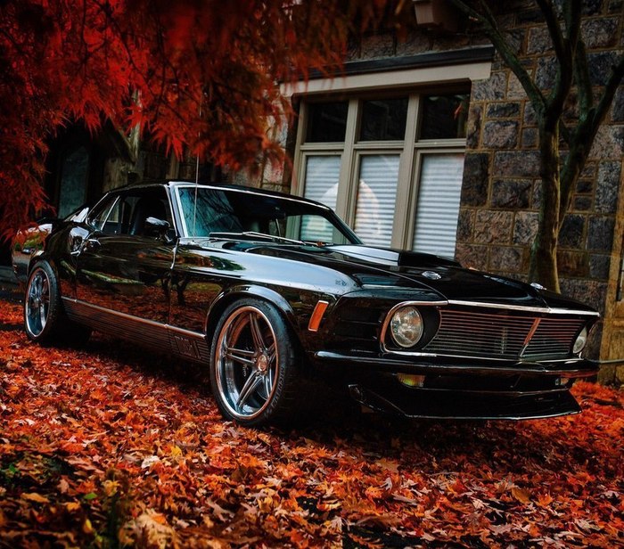 1970 Ford Mustang Fastback Ford Mustang, Fastback, Muscle car, , , 