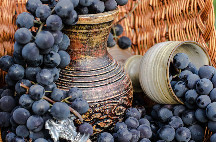 Traces of the oldest wine in the world found in Italy - League of Historians, Wine, Winemaking, Italy