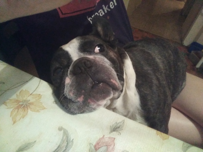 Просто так мой храпун