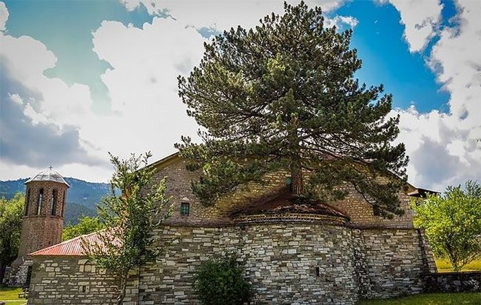 Tree on the roof of a church in Greece - Greece, Church, Tree, Roof, Temple, Village, Village, Building, Longpost