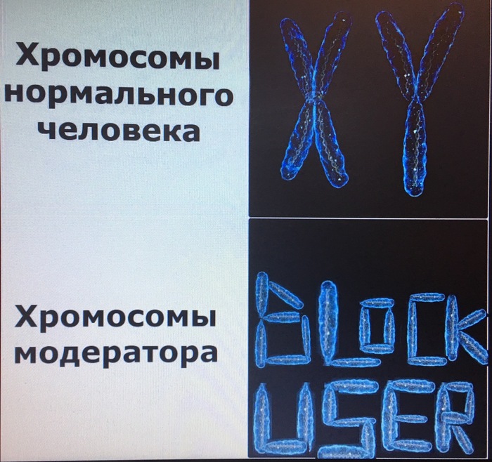 Human vs Moderator - Moderator, Person, Chromosomes