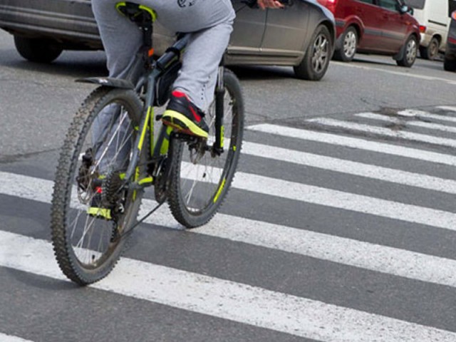 It seems that there is a bicycle, but it is angry like a dog. - Saint Petersburg, Weapon, Armed self-defense, Self defense