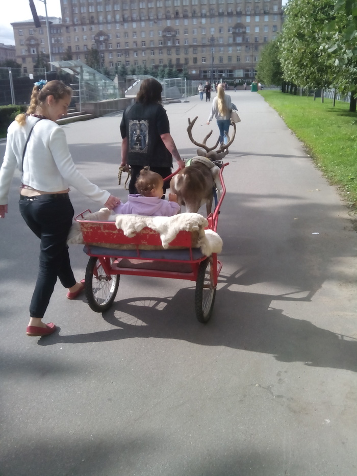 Northern capital and northern transport - My, Saint Petersburg, 