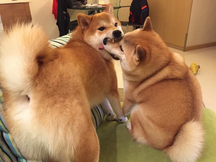 �������, �� ��� �����...