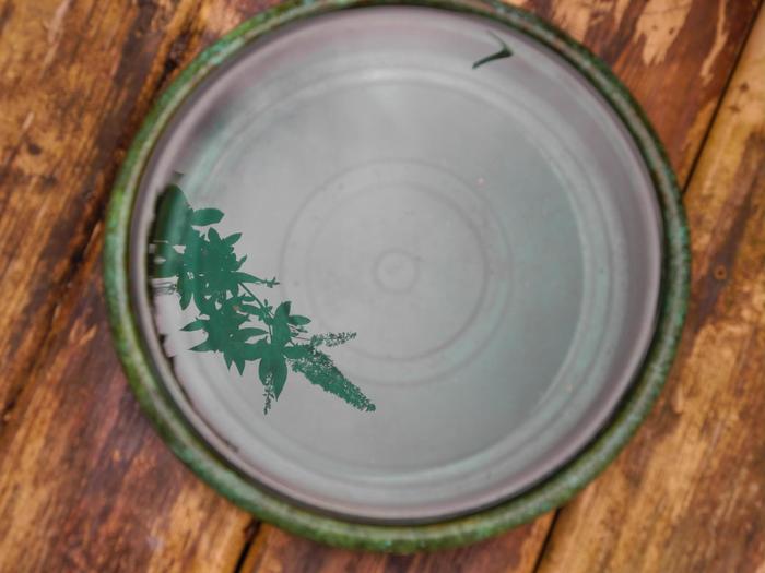 50 оттенков зелёного