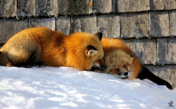 ����� ��������^^