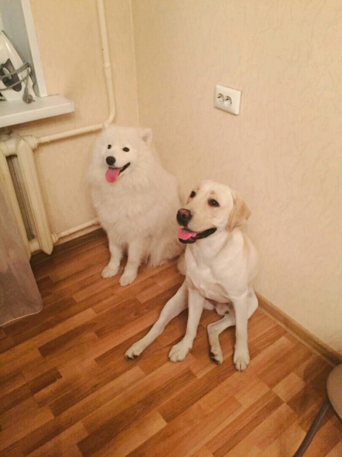    , , , , 