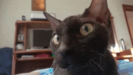  !