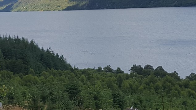 More sightings of the Nessie monster this year than in previous years - Nessie, Scotland, Dinosaurs, Longpost, Loch Ness