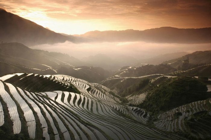 Longji Rice Terraces in China - Field, China, The photo