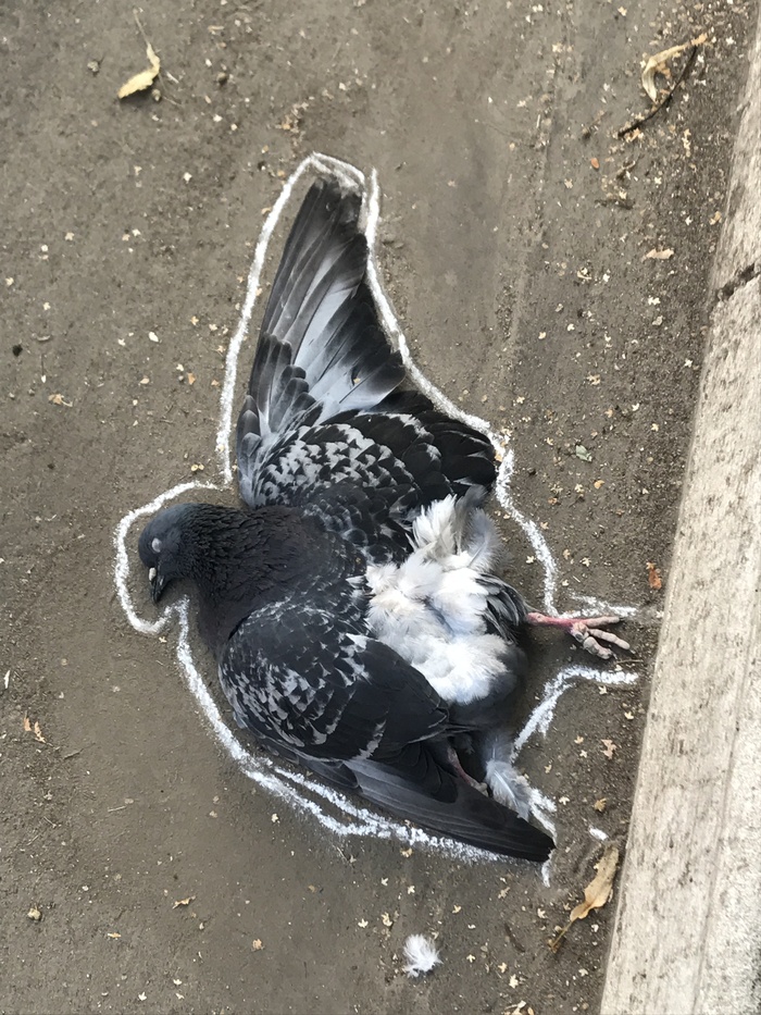 Совершенно убийство!