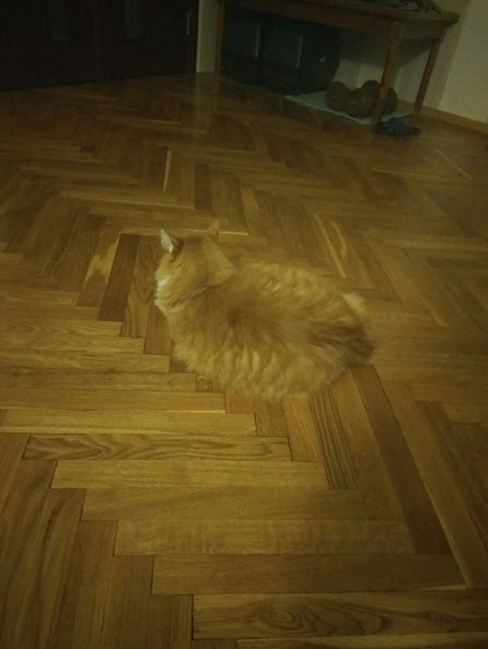 М - маскировка