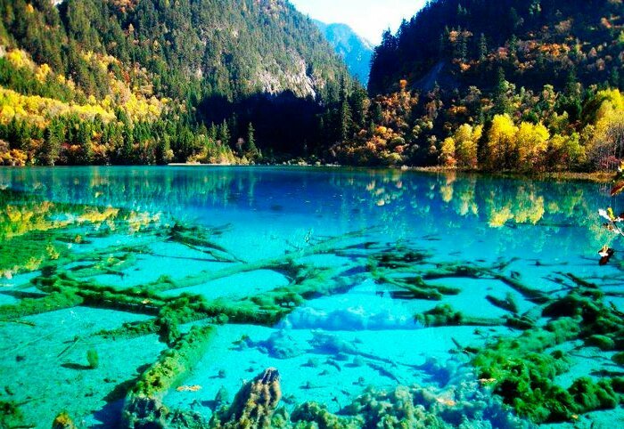 Jiuzhaigou National Park - Lake, Forest