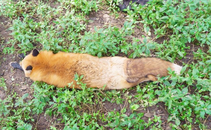 ���������� ^.^