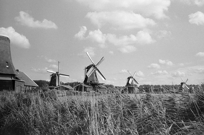 The Film Isn't Dead Part 6. Dutch Mills - My, The film did not die, camera roll, Holland, Mill, Netherlands, , Travels, Ilford, Longpost, Netherlands (Holland)