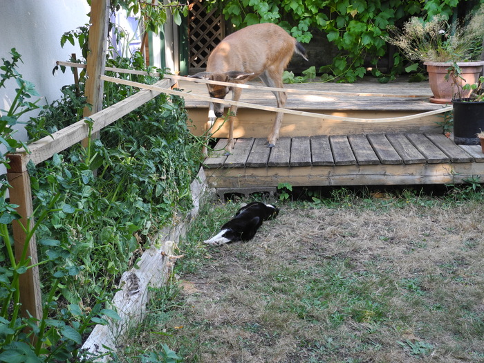 ����� ������ ����